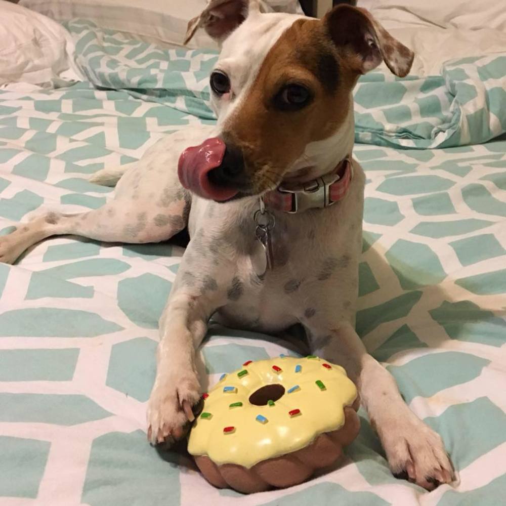 Meet your Posher, Jennifer